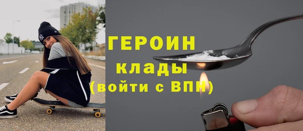 прущие грибы Новодвинск