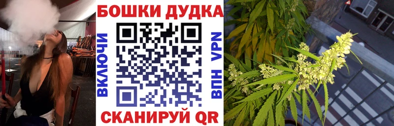 мориарти какой сайт  Пучеж  Бошки Шишки планчик 